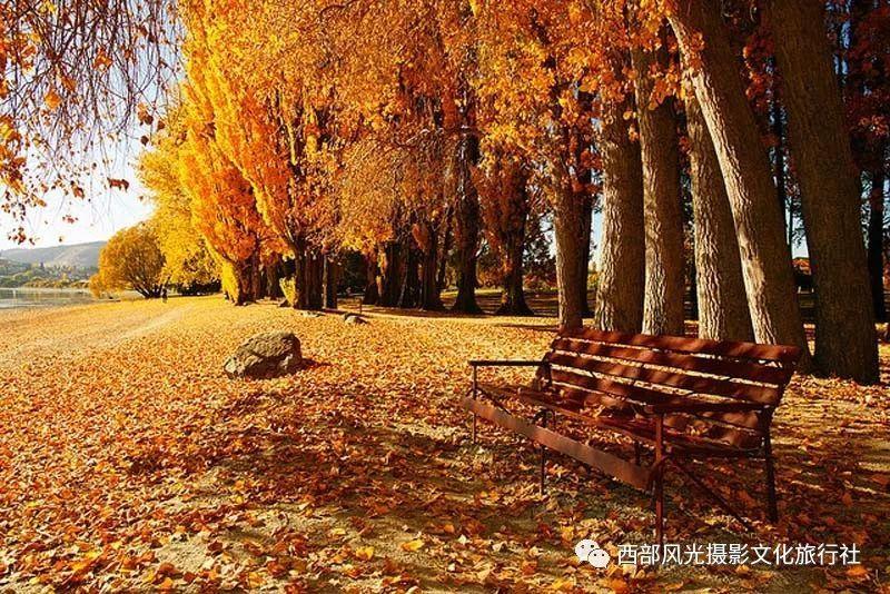 2023年甘肃省外贸进出口总值491.7亿元