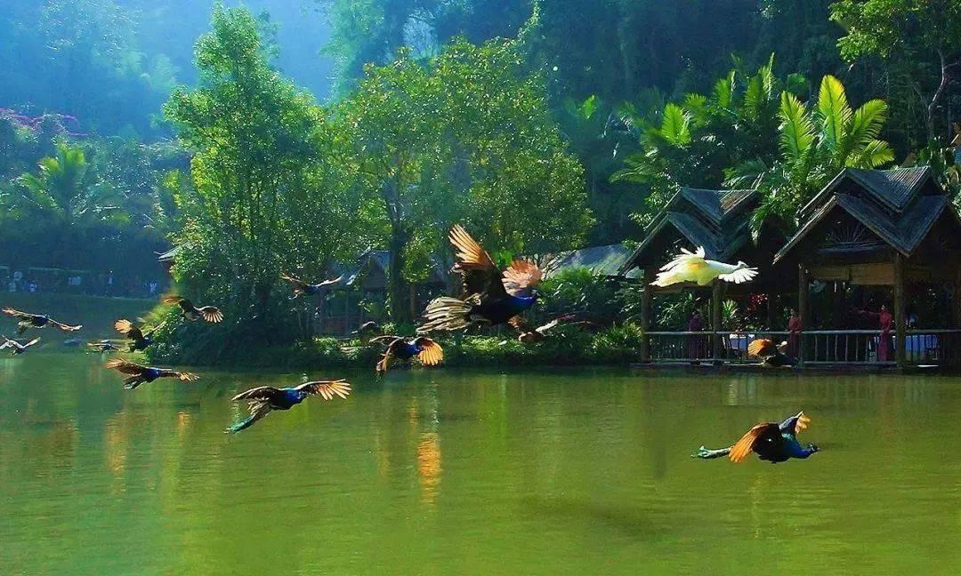 离婚证可以跨区办理吗游戏画面