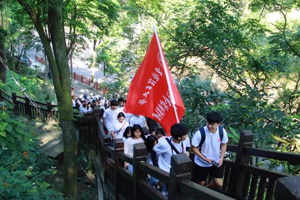 拯救小松鼠