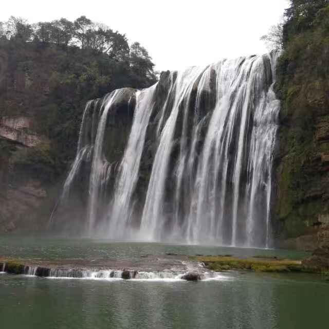 动物帮帮忙保卫家园