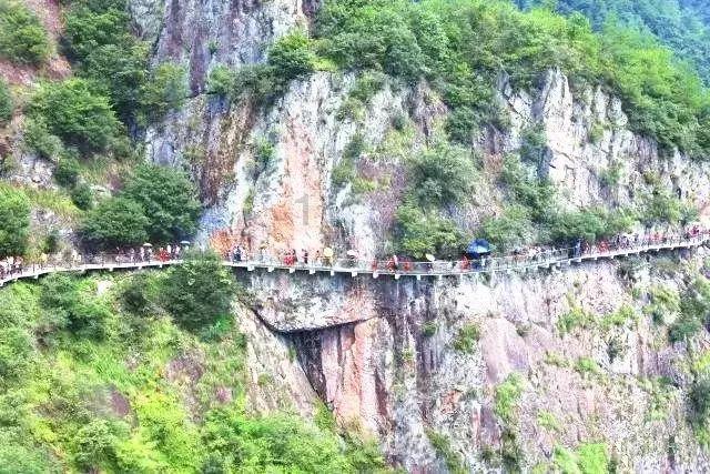 水果时尚风格