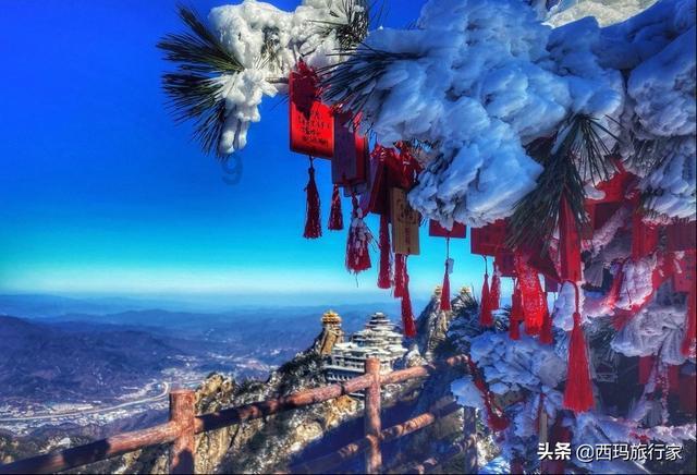 日照:为百位中老年人免费筛查“阿尔茨海默病”